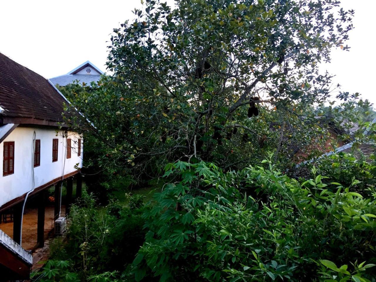 Soutikone1 Guesthouse Луанг Прабанг Екстериор снимка